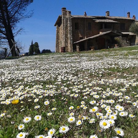 Agriturismo Le Roghete Acquapendente Dış mekan fotoğraf