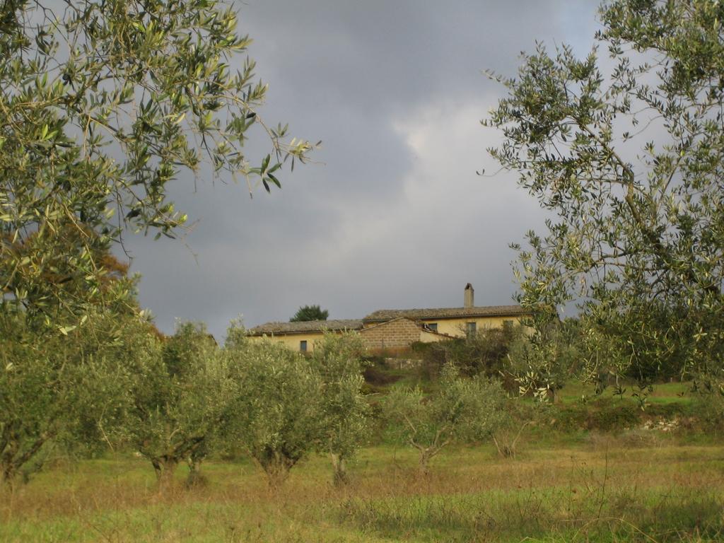 Agriturismo Le Roghete Acquapendente Dış mekan fotoğraf