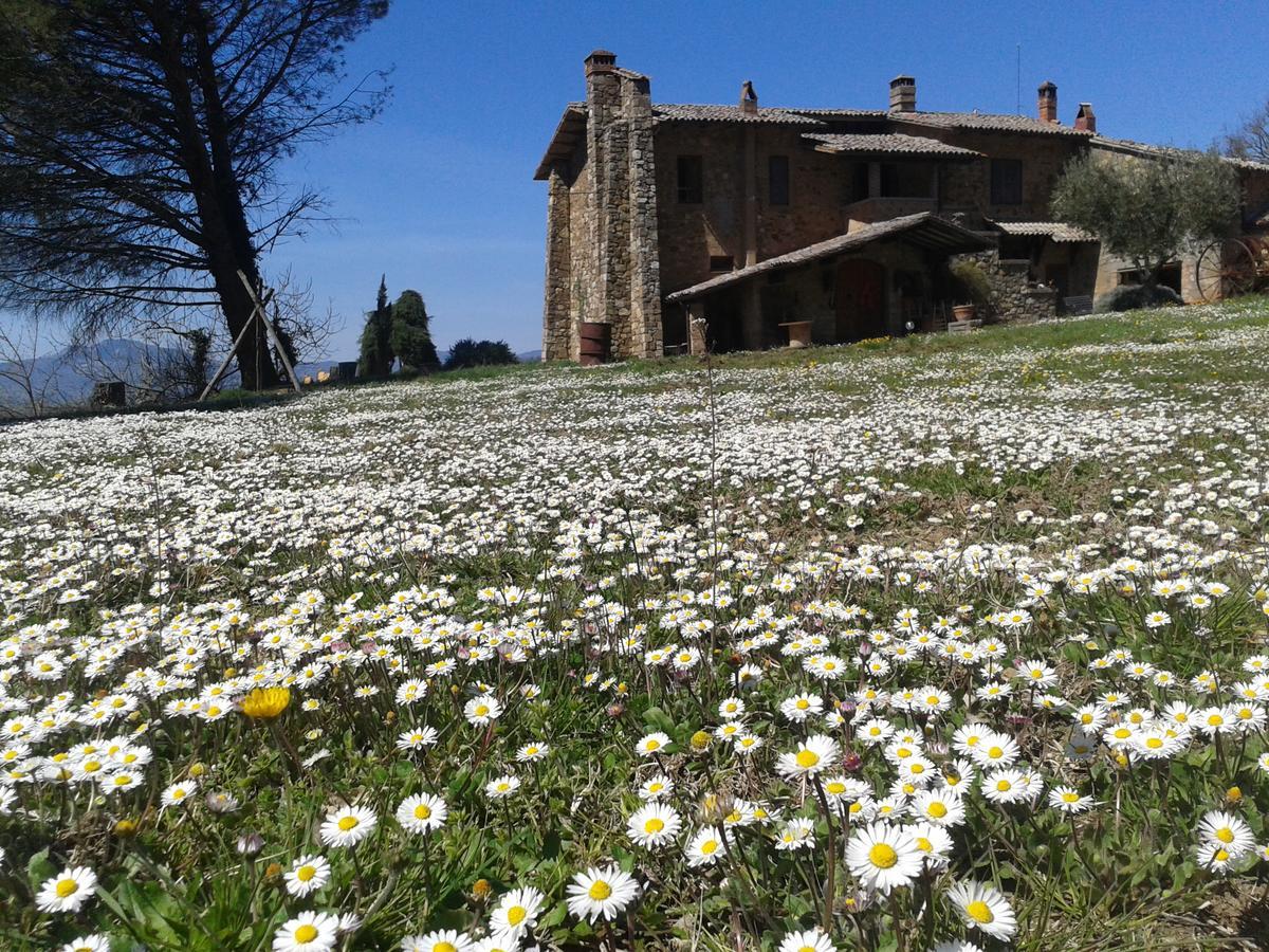 Agriturismo Le Roghete Acquapendente Dış mekan fotoğraf