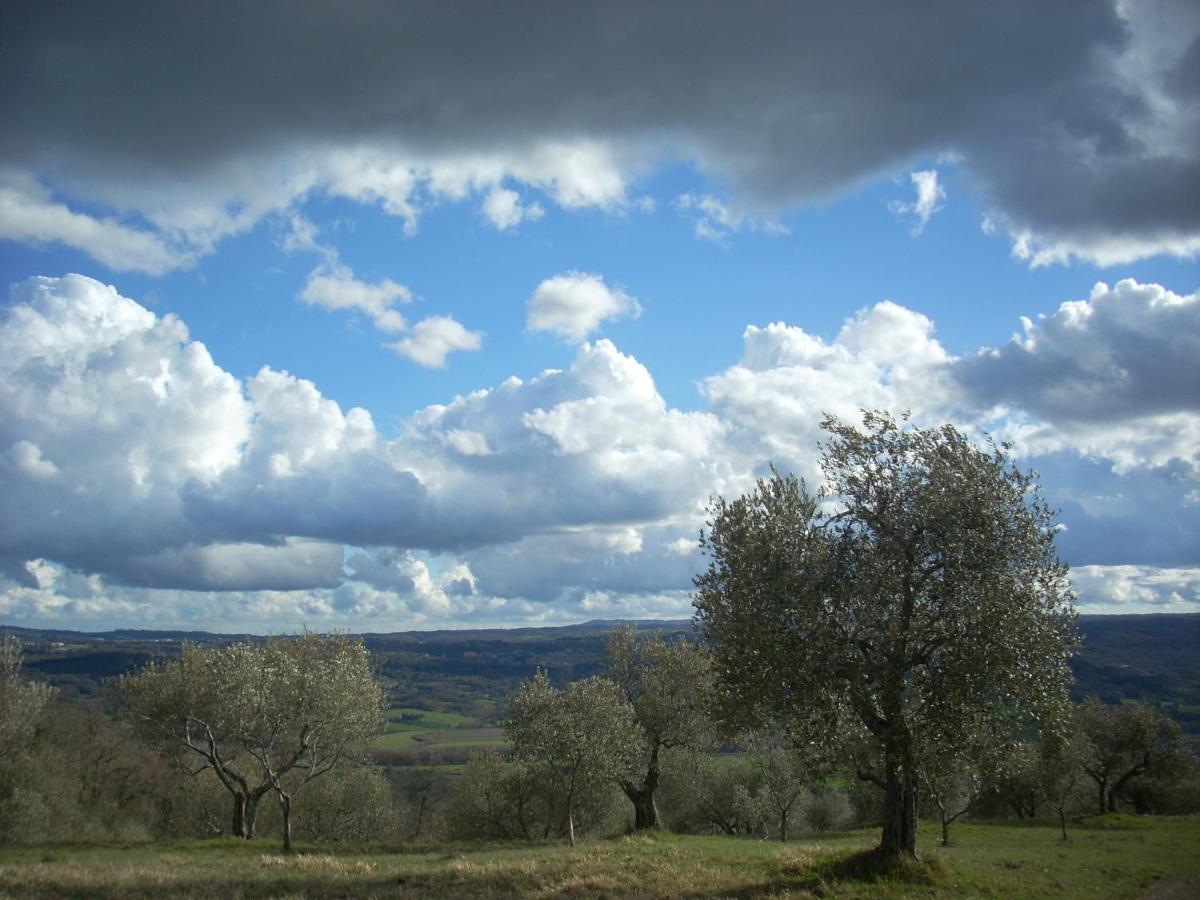 Agriturismo Le Roghete Acquapendente Dış mekan fotoğraf